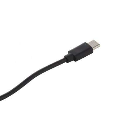 JUST LIGHT. 19260-18 - LED dimmbare Touch-Außenleuchte ABERA LED/3W/3,7V 2000 mAh USB IP54 schwarz