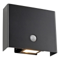 JUST LIGHT. 19471-18 - LED Außenwandleuchte mit Sensor AMIN 2xLED/1,25W/3,7V 4400mAh IP44 schwarz