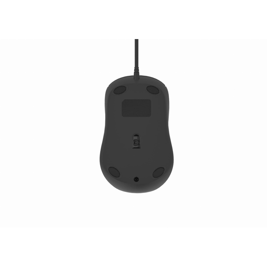 Kabelgebundene Maus 1200 DPI USB-C schwarz
