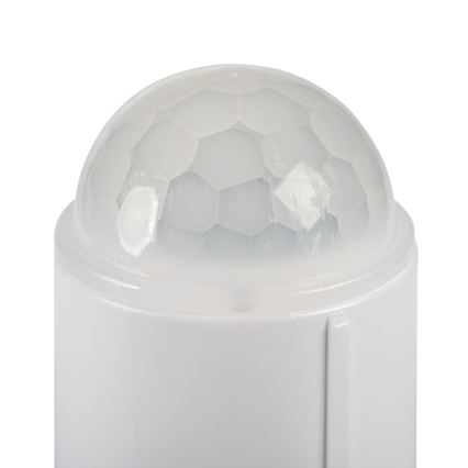 LED-Deckenleuchte mit Bewegungs- und Dämmerungssensor FOGLER LED/12W/230V Ø 28 cm