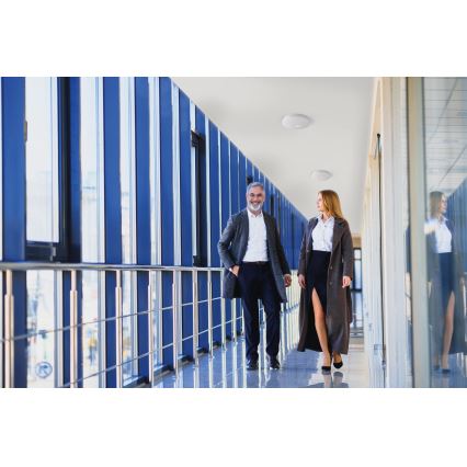 LED-Deckenleuchte mit Bewegungs- und Dämmerungssensor FOGLER LED/17W/230V Ø 33 cm