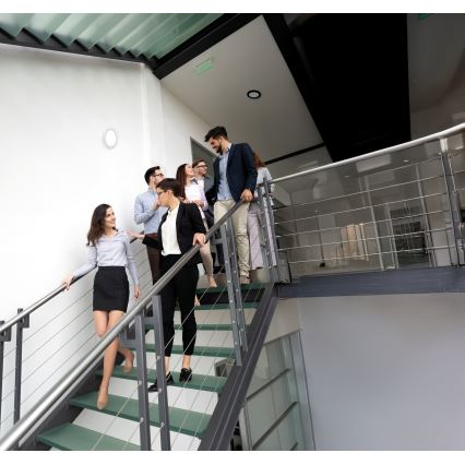 LED Decken-/Einbauleuchte 2v1 ERGA LED/17W/230V 3000/4000/6500K schwarz