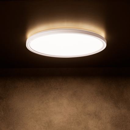LED-Deckenleuchte AZPO, 18,5 W, 230 V, 3000/4000/6000 K, Ø 29 cm, IP54, weiß