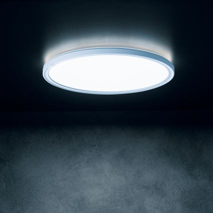 LED-Deckenleuchte AZPO LED/22W/230V 3000/4000/6000K Ø 42 cm IP54 weiß