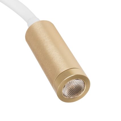 Flexible LED-Lampe TONIL LED/3,3W/230V weiß/gold