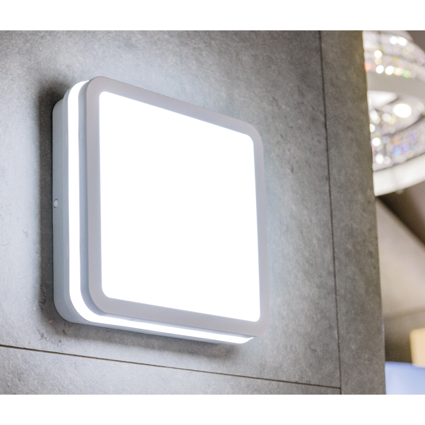 LED-Deckenleuchte für den Außenbereich BENO LED/18W/230V IP54