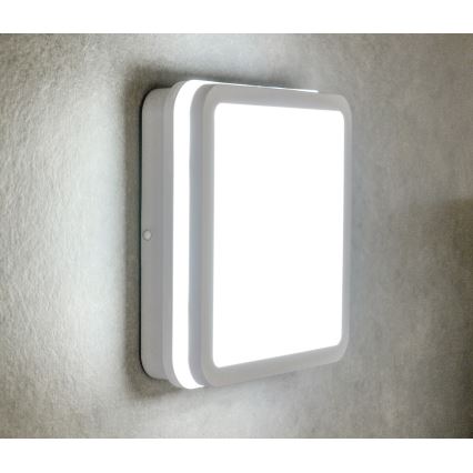 LED-Deckenleuchte für den Außenbereich BENO LED/18W/230V IP54