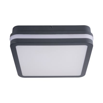 LED-Außenleuchte mit Sensor BENO LED/18W/230V 4000K IP54 anthrazit
