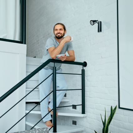 LED Treppenleuchte ERINUS LED/0,8W/12V 4000K schwarz