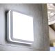 LED Außendeckenleuchte BENO LED/24W/230V IP54 weiß