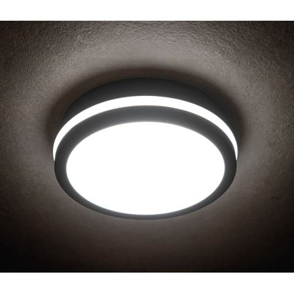 LED-Außendeckenleuchte BENO LED/18W/230V 4000K anthrazit IP54