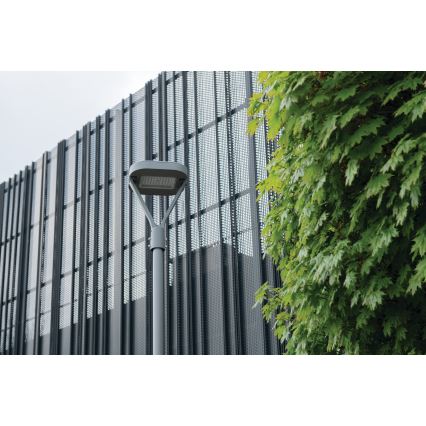 LED-Straßenleuchte PARCOLI LED/30/40/50W/230V 3000/4000/6500K IP66 grau