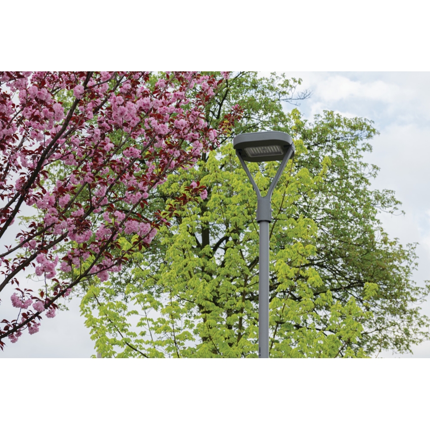LED-Straßenleuchte PARCOLI LED/30/40/50W/230V 3000/4000/6500K IP66 grau