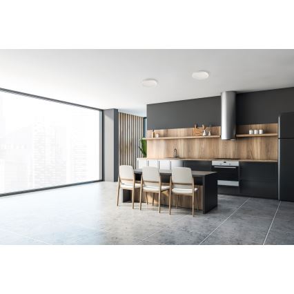 LED-Deckenleuchte für den Außenbereich BENO E LED/12W/230V 3000/4000/6500K d 20 cm IP65 weiß