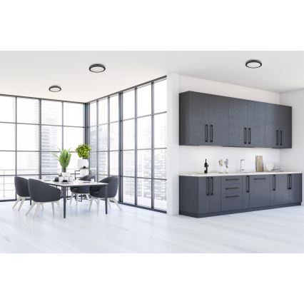LED-Deckenleuchte für den Außenbereich BENO ECO LED/20W/230V 3000/4000/6500K d 20 cm IP65 schwarz