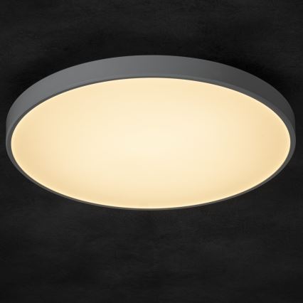 Dimmbare LED-Deckenleuchte PLAFON LED/20W/230V 3000-6500K Wi-Fi weiß