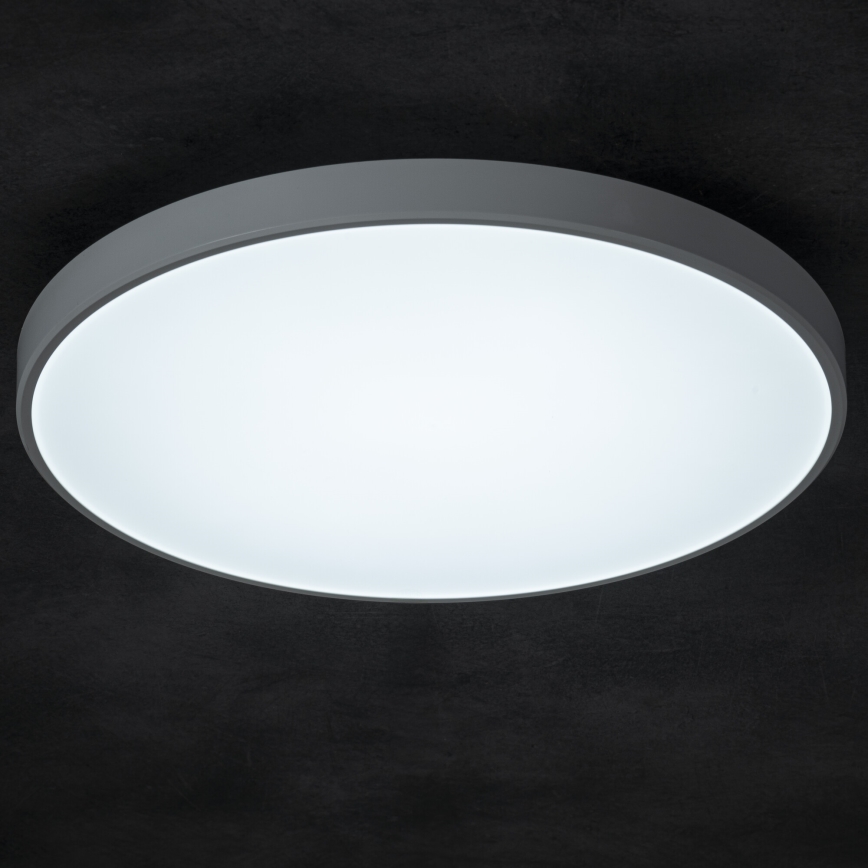 Dimmbare LED-Deckenleuchte PLAFON LED/20W/230V 3000-6500K Wi-Fi weiß
