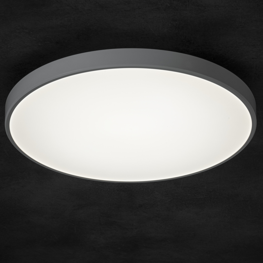 Dimmbare LED-Deckenleuchte PLAFON LED/20W/230V 3000-6500K Wi-Fi weiß