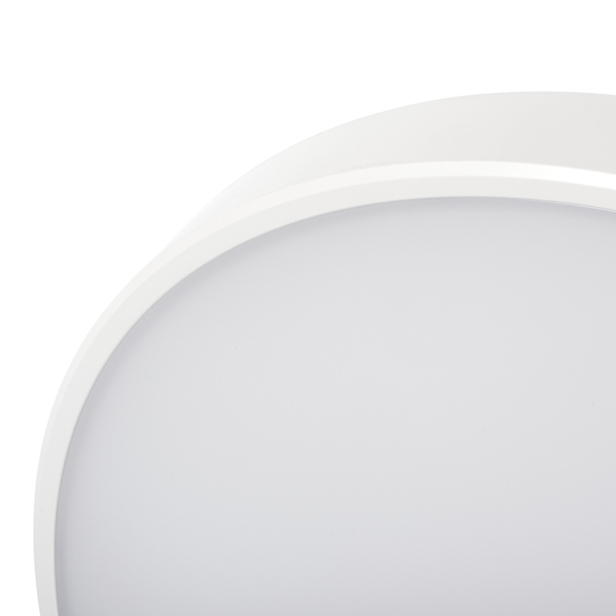 Dimmbare LED-Deckenleuchte PLAFON LED/20W/230V 3000-6500K Wi-Fi weiß