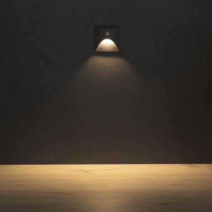 LED-Treppenleuchte mit Bewegungs- und Dämmerungssensor EXIN LED/2,5W/230V 3000K IP65 anthrazit eckig