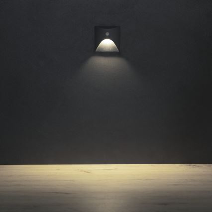 LED-Treppenleuchte EXIN mit Bewegungs- und Dämmerungssensor, 2,5 W / 230 V, 4000 K, IP65, anthrazit, eckig