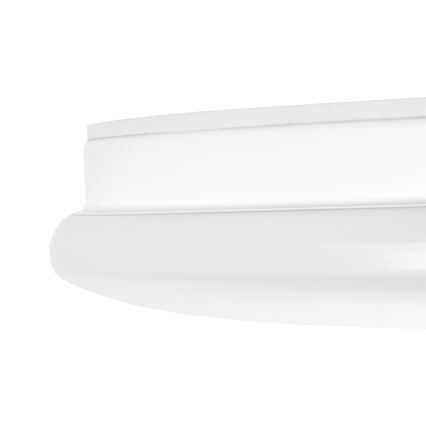 LED-Deckenleuchte für Badezimmer ENELO, LED/10W/230V, Ø 24 cm, IP44