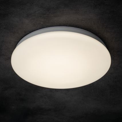 LED-Deckenleuchte für Badezimmer ENELO LED/17W/230V Ø 32 cm IP44