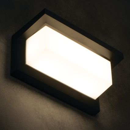 LED Außenwandleuchte LERTO LED/12W/230V IP54 schwarz