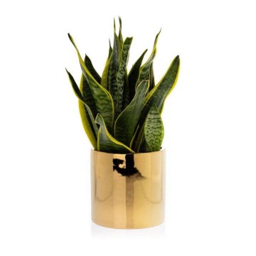 Keramischer Blumentopf FLORA 15x15 cm gold