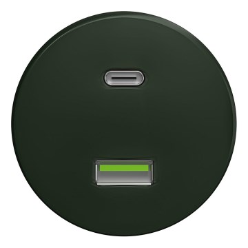 Kliklap - Retro USB-Steckdose A+C ohne Rahmen grün