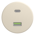 Kliklap - Retro-USB-Steckdose A+C rahmenlos beige