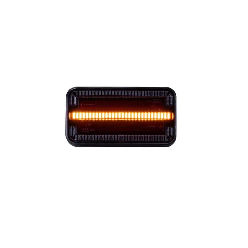 Kombiniertes LED-Licht LED/12-24V IP65