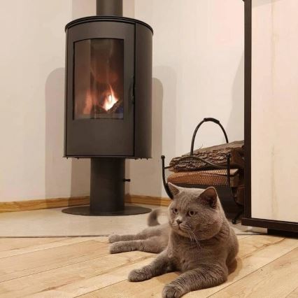 Kratki - Kamin-Eisenofen 8 kW 150 mm