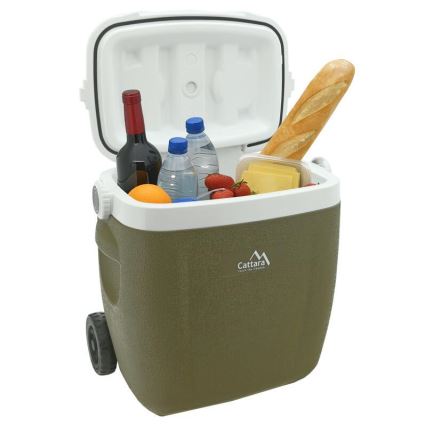 Kühlbox auf Rollen 16 l, grün