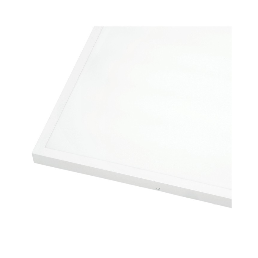 LED-Anbaupanel BRISBANE LED/36W/230V 4000K 59,5x59,5 cm weiß