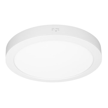 LED Aufbau-/Einbau-Panel 2-in-1 24 W / 230 V 3000/4000/6000 K Ø 30 cm IP54 weiß