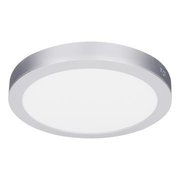 LED-Aufbau-/Einbau-Panel 2-in-1 24W/230V 3000/4000/6000K Ø 30 cm IP54 silber