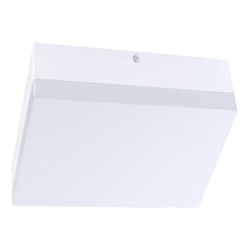 LED Außen-Deckenleuchte LED/15W/230V 22x22 cm IP44