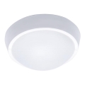 LED Außen-Deckenleuchte LED/18W/230V IP65
