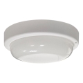 LED Außen-Deckenleuchte LED/8W/230V 4200K pr. 14 cm IP64 weiß