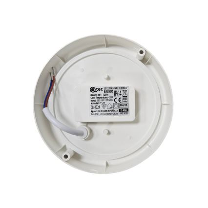 LED Außen-Deckenleuchte LED/8W/230V 4200K pr. 14 cm IP64 weiß