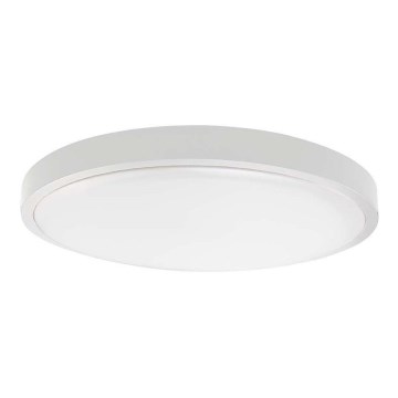LED Außen-Deckenleuchte mit Sensor LED/24W/230V 4000K IP44 Weiß