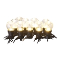 LED Außen-Dekorations-Lichterkette 10xLED/10m IP44 klar