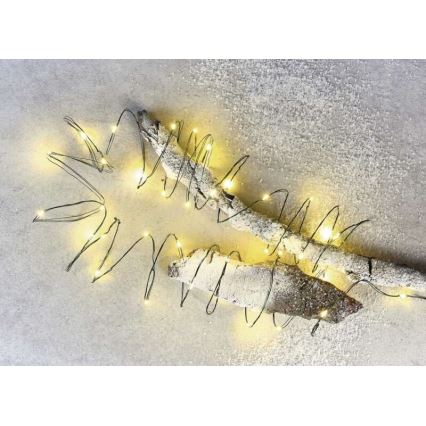LED-Außen-Lichterkette 40xLED/9m IP44 warmweiß