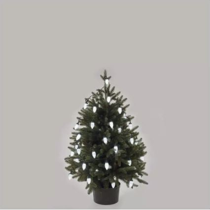 LED-Außen-Lichterkette, 50 LEDs, 8 Funktionen, 14,8 m, IP44, kaltweiß