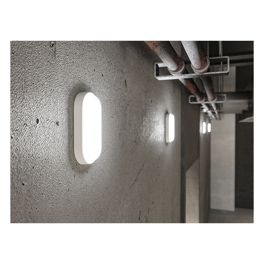 LED Außen-Wandleuchte LED/12W/230V IP54 weiß