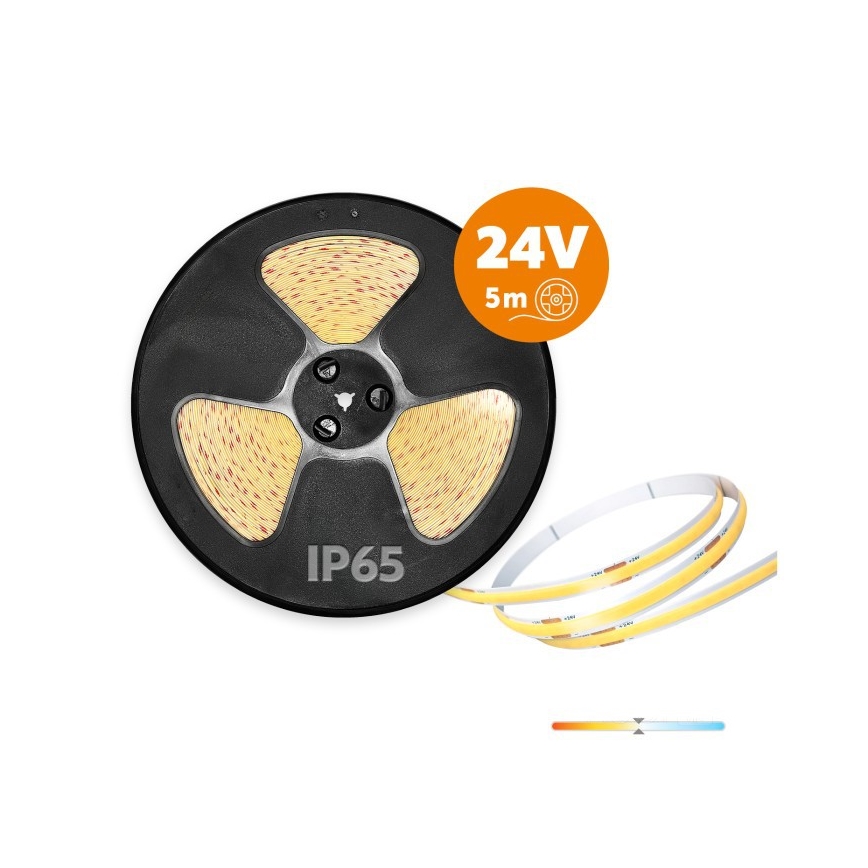 LED-Außenband TRAMO LED/50W/24V 5m IP65 4000K