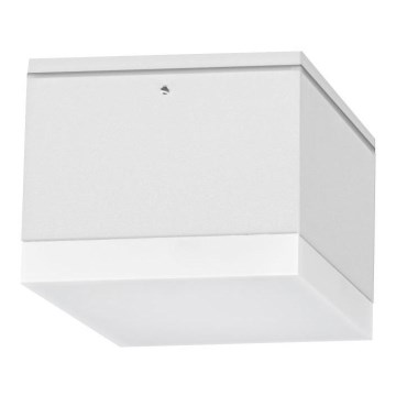 LED-Außendeckenleuchte BRUNO LED/10W/230V IP54