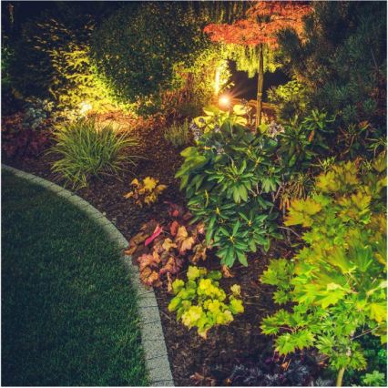 LED-Außenleuchte BLAKE LED/5W/230V 4000K IP65 schwarz