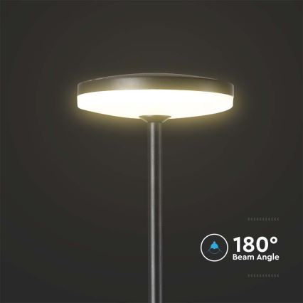 LED-Außenleuchte LED/12W/230V 3000K IP65 anthrazit